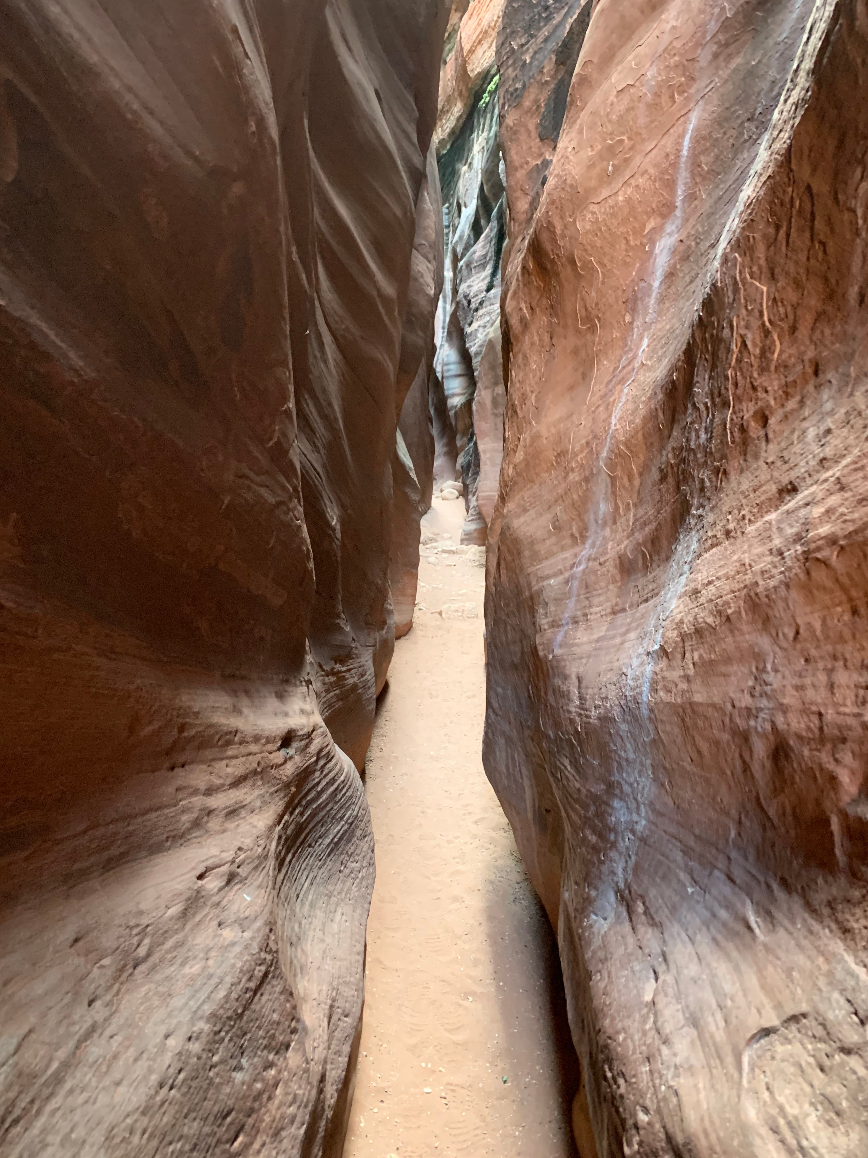 Vermillion Cliffs NM